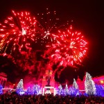 Artificii-la-Cluj-Napoca-2015 (8)