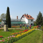 Gradina-Botanica-Alexandru-Borza_Cluj-Napoca-1 (4)